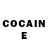 COCAIN Fish Scale 5HINee Forever