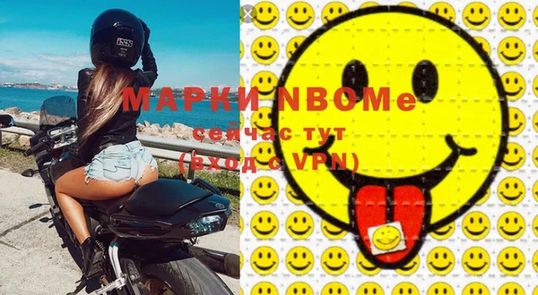 шишки Арсеньев