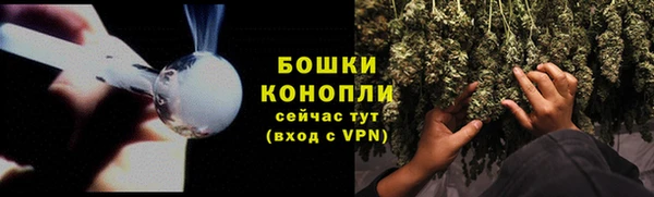 шишки Арсеньев