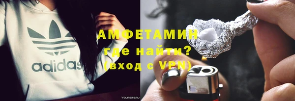 шишки Арсеньев