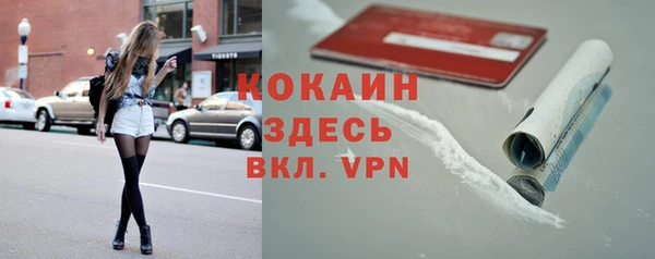 сатива Армянск