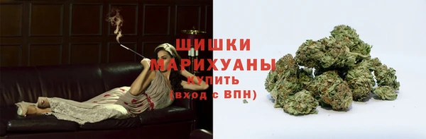сатива Армянск