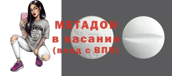 шишки Арсеньев
