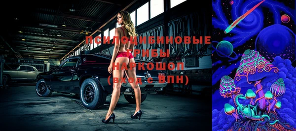 шишки Арсеньев