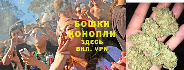 сатива Армянск