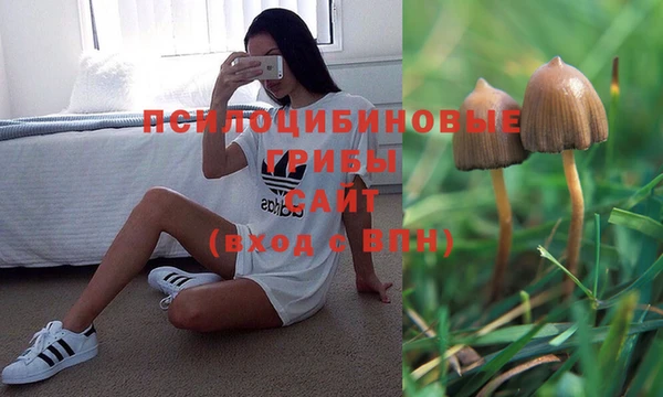 сатива Армянск
