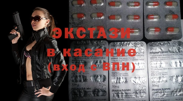 шишки Арсеньев