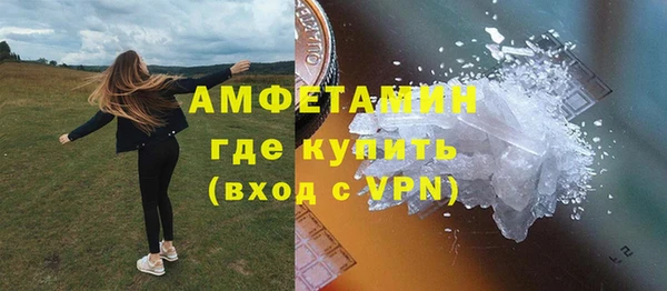 шишки Арсеньев