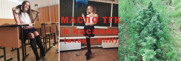 шишки Арсеньев
