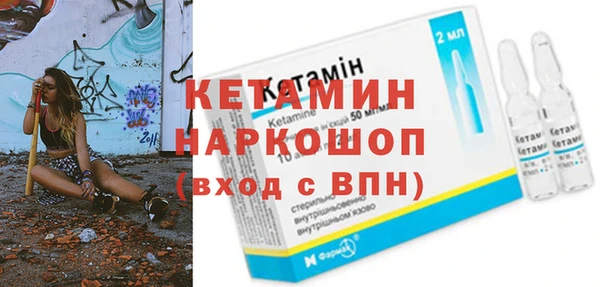 шишки Арсеньев