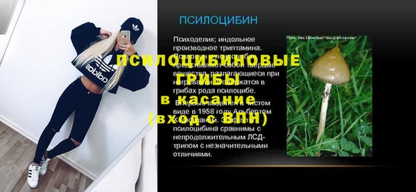 сатива Армянск