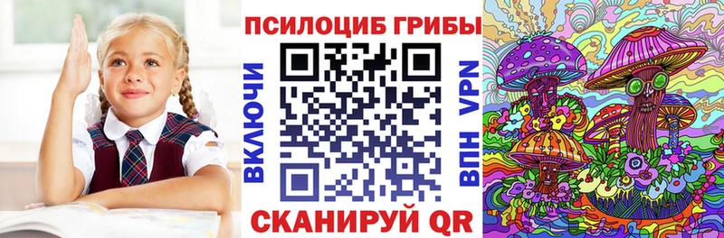 где купить наркоту  Советский  Псилоцибиновые грибы Magic Shrooms 